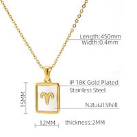 Stainless Steel Simple Style Plating Inlay Constellation Shell Pendant Necklace main image 2