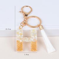 Streetwear Letter Metal Epoxy Bag Pendant Keychain sku image 8