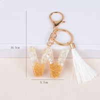 Streetwear Letter Metal Epoxy Bag Pendant Keychain sku image 23