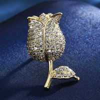 Lady Leaf Fruit Flower Copper Inlay Artificial Diamond Unisex Brooches sku image 16