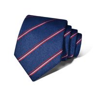 Business Formal Geometric Stripe Polyester Men's Tie sku image 5