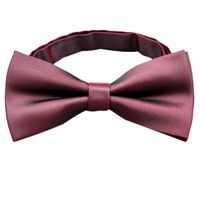 Elegant Solid Color Bow Knot Polyester Men's Tie main image 4