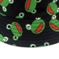 Unisex Simple Style Frog Double-sided Flat Eaves Bucket Hat main image 3