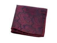 Formal Paisley Polyester Unisex Pocket Square 1 Piece main image 3