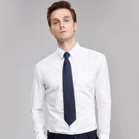 Business Formal Geometric Stripe Polyester Men's Tie main image 3