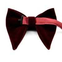 Elegant Solid Color Bow Knot Velvet Men's Tie main image 3