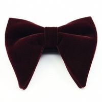 Elegant Solid Color Bow Knot Velvet Men's Tie main image 2