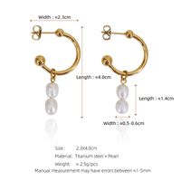 1 Pair Simple Style Geometric 304 Stainless Steel Freshwater Pearl Freshwater Pearl 18K Gold Plated Drop Earrings main image 2