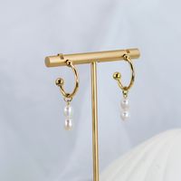 1 Pair Simple Style Geometric 304 Stainless Steel Freshwater Pearl Freshwater Pearl 18K Gold Plated Drop Earrings main image 6
