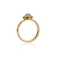 304 Stainless Steel 18K Gold Plated Simple Style Plating Inlay Round Natural Stone Agate Rings sku image 12