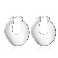 1 Pair Casual Solid Color Sterling Silver White Gold Plated Earrings main image 6