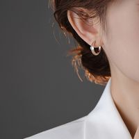 1 Pair Casual Round Plating Inlay Sterling Silver Zircon 24k Gold Plated White Gold Plated Earrings sku image 1