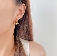 1 Pair Retro Star Heart Shape Plating Titanium Steel 18k Gold Plated Drop Earrings main image 8