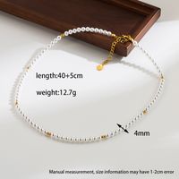 Elegant Classic Style Round Stainless Steel Shell Pearls Beaded Plating 18k Gold Plated Women's Bracelets Necklace sku image 2