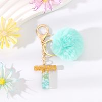 Style Simple Lettre Résine Peluche Époxy Pendentif De Sac Porte-clés sku image 16