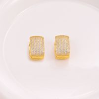 1 Pair Classic Style Leopard Plating Inlay Artificial Gemstones Copper Zircon 18k Gold Plated Hoop Earrings main image 7