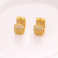 1 Pair Classic Style Leopard Plating Inlay Artificial Gemstones Copper Zircon 18k Gold Plated Hoop Earrings main image 8