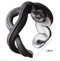 Retro Punk Snake Alloy Silver Plated Men's Open Rings main image 2