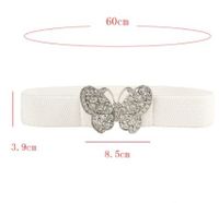 Ig Style Simple Style Butterfly Elastic Band Inlay Rhinestones Women's Corset Belts main image 2