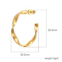 1 Pair Simple Style Round Plating Stainless Steel Earrings main image 5