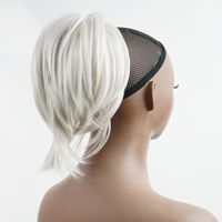Women's Simple Style Casual Party High Temperature Wire Ponytail Wigs sku image 6