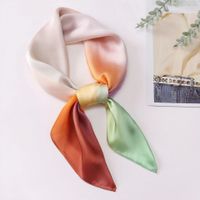 Women's Elegant Basic Color Block Polyester Printing Silk Scarf sku image 2
