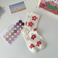 Women's Casual Japanese Style Sweet Letter Fruit Flower Cotton Crew Socks A Pair sku image 1