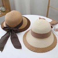 Women's Retro Vacation Sweet Color Block Bowknot Wide Eaves Straw Hat main image 5