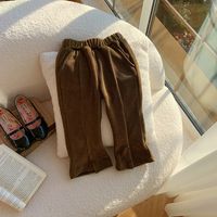 Elegant Cute Solid Color Corduroy Pants & Leggings sku image 13
