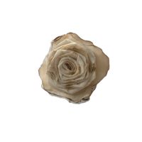 Lady Flower Cloth Women's Brooches main image 2