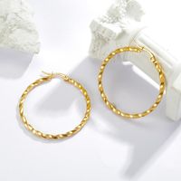 1 Pair Luxurious Solid Color Polishing Plating 304 Stainless Steel Hoop Earrings main image 4