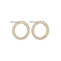 1 Pair Simple Style Circle Round Inlay Copper Alloy Zircon 18k Gold Plated White Gold Plated Ear Studs main image 1