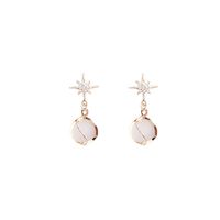 1 Pair French Style Classic Style Star Alloy Drop Earrings main image 2