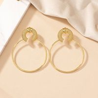 1 Pair Simple Style Circle Plating Alloy Gold Plated Hoop Earrings main image 5
