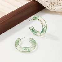 1 Pair Sweet Simple Style Ditsy Floral Transparent Arylic Ear Studs sku image 2