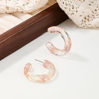 1 Pair Sweet Simple Style Ditsy Floral Transparent Arylic Ear Studs main image 7