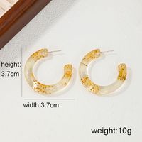 1 Pair Sweet Simple Style Ditsy Floral Transparent Arylic Ear Studs main image 2