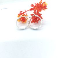 1 Pair Simple Style Commute Solid Color Plating Stainless Steel Silver Plated Earrings main image 3
