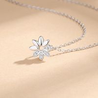 Elegant Simple Style Flower Sterling Silver Plating Inlay Zircon Pendant Necklace main image 3