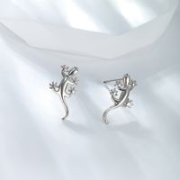 1 Pair Xuping Simple Style Animal Copper Alloy 18k Gold Plated White Gold Plated Ear Studs main image 6