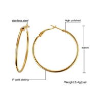 1 Pair Simple Style Geometric 304 Stainless Steel Gold Plated Hoop Earrings sku image 5