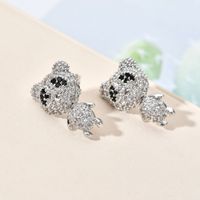 1 Pair Sweet Simple Style Panda Plating Inlay Copper Zircon White Gold Plated Ear Studs main image 3