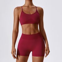 Lässig Klassischer Stil Einfarbig Nylon U-ausschnitt Trainings Anzug Weste Kurze Hose sku image 17