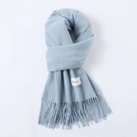 Women's Simple Style Solid Color Imitation Cashmere Scarf sku image 46