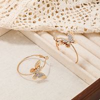 1 Piece Ig Style French Style Simple Style Butterfly Inlay Alloy Rhinestones Earrings main image 4