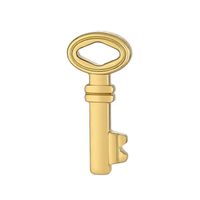1 Piece Stainless Steel 18K Gold Plated Key main image 2