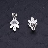 1 Pair Simple Style Leaf Inlay Stainless Steel Zircon 18K Gold Plated Ear Studs main image 5
