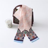Women's Simple Style Commute Color Block Polyester Printing Silk Scarf sku image 15