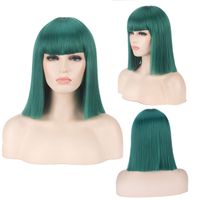 Women's Cute Party Cosplay High Temperature Wire Short Straight Hair Wig Net sku image 7