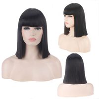 Women's Cute Party Cosplay High Temperature Wire Short Straight Hair Wig Net sku image 1